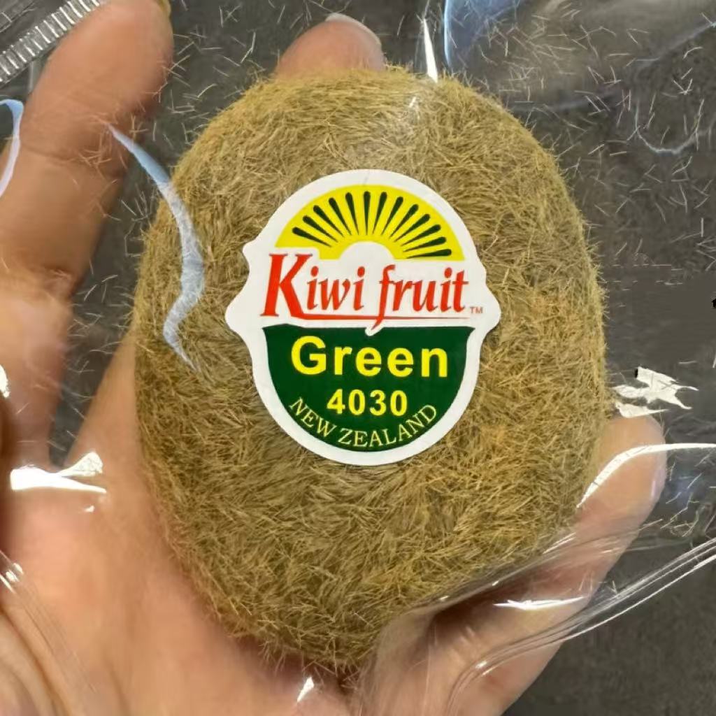 人工キウイフルーツスクイーズ（食品グレードシリコン）