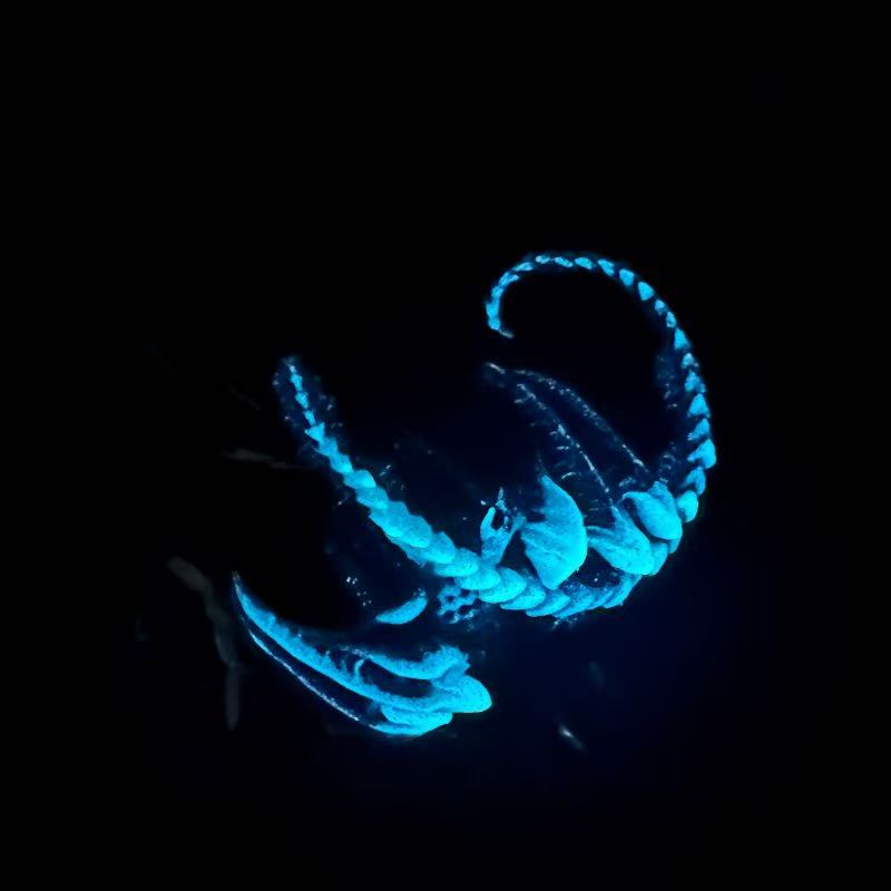 光を吸収して暗闇で光る巨大なドラゴン。